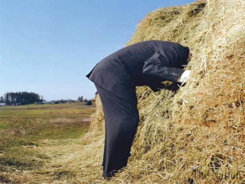 needle in haystack